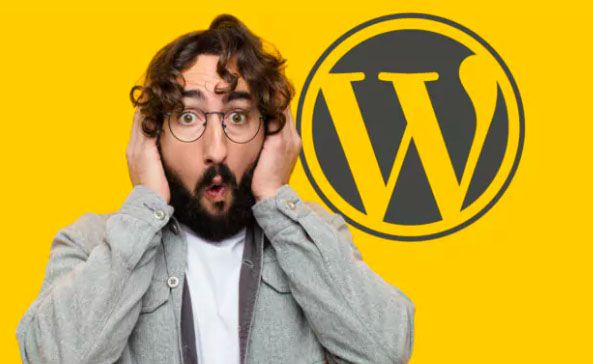 wordpress.6.4.2