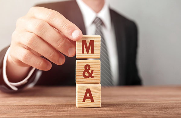 Thị trường M&A 5 tỷ USD chờ đón những ngành nào?