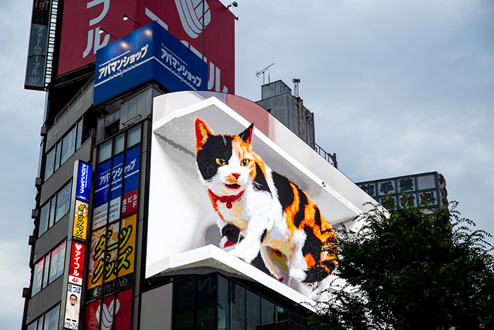 Biển quảng cáo 3D ngoài trời đang trở nên phổ biến khắp toàn cầu